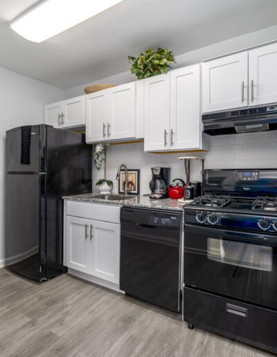 Modern kitchen with white cabinets, black appliances including a refrigerator, dishwasher, and stove, gray wood-style flooring, and minimal decor like plants and kitchen utensils on the counter.